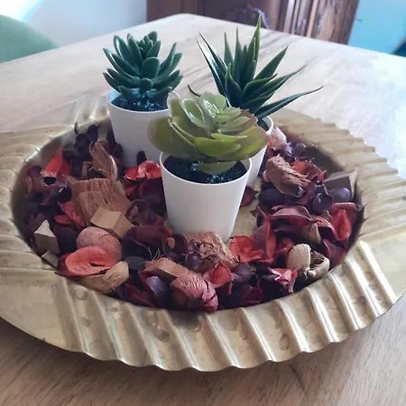 Giubyleo Apartment *